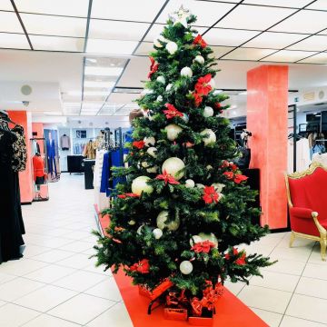 Albero 1
